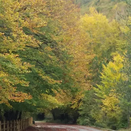 Casetta Angie Lejlighed Barrea