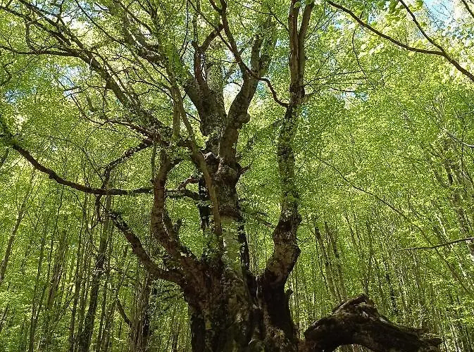 Lejlighed Casetta Angie