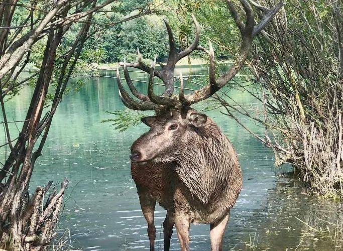 Casetta Angie * Barrea