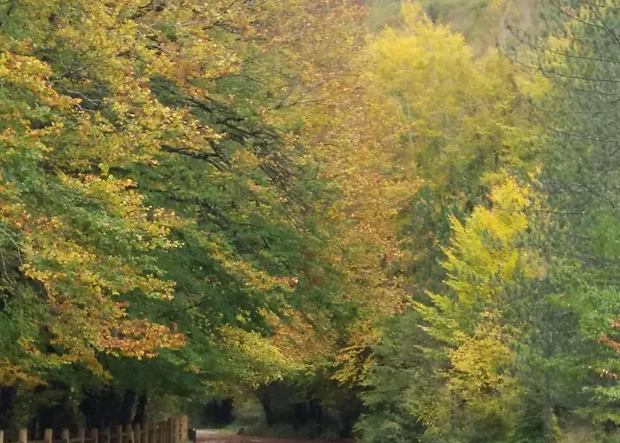 Casetta Angie Lejlighed Barrea