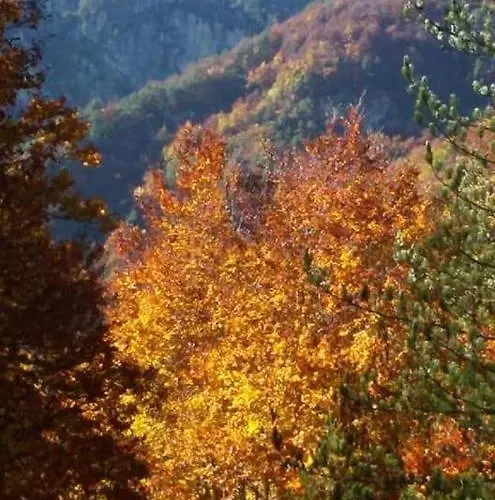 Casetta Angie Διαμέρισμα Barrea